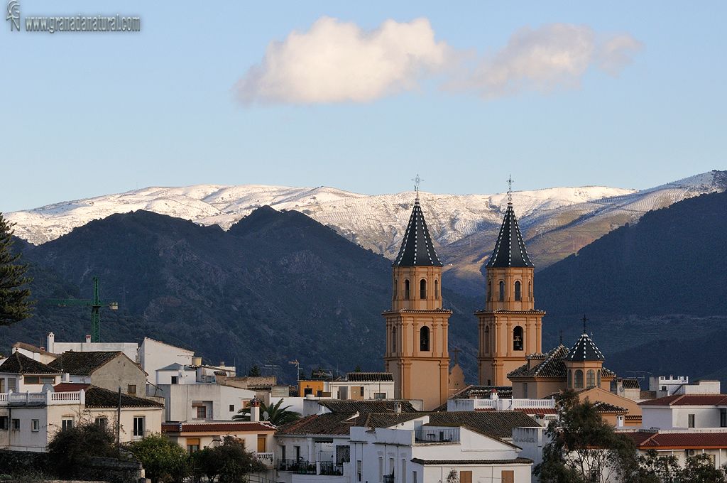 registro civil Orgiva